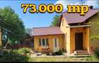 CASA cu TEREN 7.3 HECTARE Zvorastea Suceava - 1