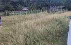 Teren Intravilan 1.000 mp de vanzare