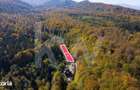 Teren 2.000 mp in Valea Avrigului Padure, apa curgatoare si liniste