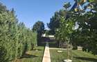 Proprietate exclusivista Gradistea Ilfov Doua locuinte moderne, piscina incalzita si independenta energetica - 7