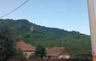 Vand casa cu anexe gospodare?ti cu curte mare, gradina ?i livada - 1