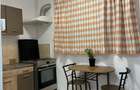 Închiriere Apartament 3 camere langa IOR Pet Friednly Renovat - 10
