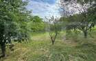 Teren intravilan de vânzare, 954 mp, str. Iancu Jianu - 4