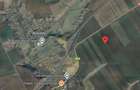 Teren extravilan 12500 mp, Valea Mare, Olt - 3