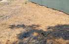 Teren 3000 mp Constanta zona sere - 3