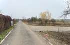 Teren intravilan de vanzare in Snagov Ciofliceni - 2