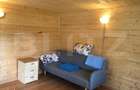 Teren de vanzare cu cabana si livada, 1300 mp, zona Viile Satu Mare - 5