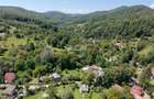 Teren Intravilan 8.277 mp Provița de Jos – Utilități, Râu & Pădure - 10