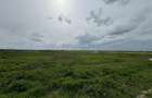 Teren 2500 mp zona Boreal