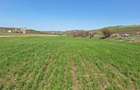 Teren de vanzare, 52600 mp, oportunitate de investi?ie - 1