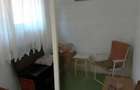 Apartament cu gradina de inchiriat - 1