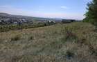 Proprietar Vand teren intravilan, 975 mp, Str. Pietrelor, Piatra Neamt - 6