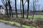 Teren intravilan 1700m2 24ml deschidere la strada astfalta , centru comuna Florica, jud.Buzau 1360 - 6