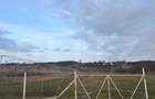 Parc industrial complet echipat Hala multifunctionala cu acces TIR - 14