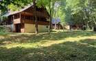 1,76 ha intravilan cu parau de munte si 3 cabane Via Transilvanica, Mures - 2