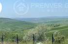 Teren intravilan Padurea Mirzesti - 1