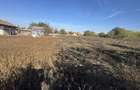 Teren 5.000 mp cu deschidere 74 m ideal investitie, hale, depozit, ferma Vanatori, Mehedinti - 8