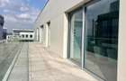 Duplex superb, 150 mp - Aviatiei - 8