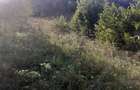 Nadrag-teren intravilan de casa cu gradina Nadrag - 3