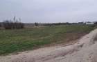Vand trei loturi de teren Branistea, Galati 756 m2 fiecare, intravilan - 7