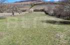 Casa de vanzare, 280 mp , teren 3.500 mp, zona Pestisu Mic