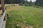 Teren intravilan 750 mp, zona montana, cu utilitati ideal casa de vacanta - 7