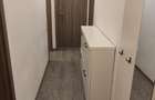 Apartament cu 2 camere decomandat în Terezian - 11