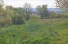 Vand 560 mp Lomb 14000 euro - 1