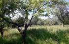 Teren intravilan 1935 mp, cadastrat, deschidere la strada 23ml. - 7