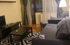 Apartament cu 2 camere decomandat în Timișoara - 8