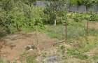 Vanzare Teren  Darza, Crevedia - 3