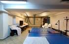 Vila premium 8 camere zona Nord Herastrau Nicolae Caranfil Aviatiei - 10