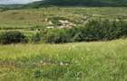 Teren intravilan 2.200 mp | Radaia Baciu - 1