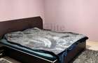 Apartament cu 2 camere in Prima Nufarul - 5
