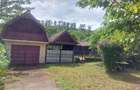 Casa cu gradina in Blaj - 5