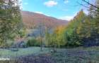 Vand teren cu vedere la lac, Valea Doftanei,Strada Lacului