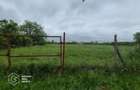 Casă cu 3 camere cu Teren 4317 Mp în Alioș - 9