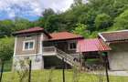 Casă cu 3 camere în Criș - 1