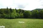 Teren intravilan de vanzare Sacele, zona Babarunca 4.000 mp - 3