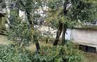 Spatii de birouri | Dorobanti - 14