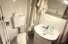 Apartament cu 3 camere decomandat în Nicolina - 9