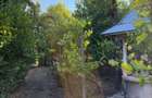 Casa 6 camere, amplasare rurala, 1600mp teren. Pre? u?or negociabil - 11