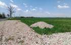 Teren Construcții intravilan de 1496.5 mp, în Glina - 4