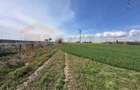 Teren, 18.000 mp, DN -Statia Meteo spre Valu lu Traian - 8