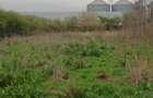 Teren intravilan arabil 3846 mp, Topraisar.Zona buna,sub pretul pietei - 3