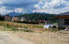 Teren pentru casa - 800 mp - Bunloc - 5