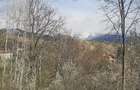 Teren de vanzare Breaza, 873mp Str Crangului - 1