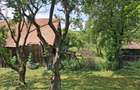 Casa la tara , curte/gradina 3450 m2 - 8