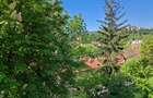 Apartament cu 3 camere decomandat în Ultracentral - 9