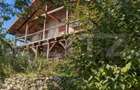 Casa 3 camere si teren 4873 mp in Pietroasa, Moldovenesti - 5